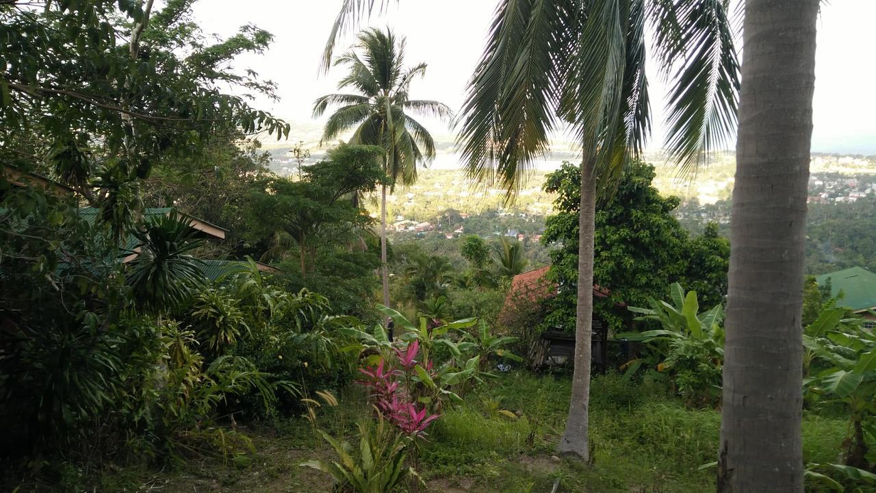 Perfect Sea View Mountain Villa Koh Samui شاطئ تشاوينغ المظهر الخارجي الصورة