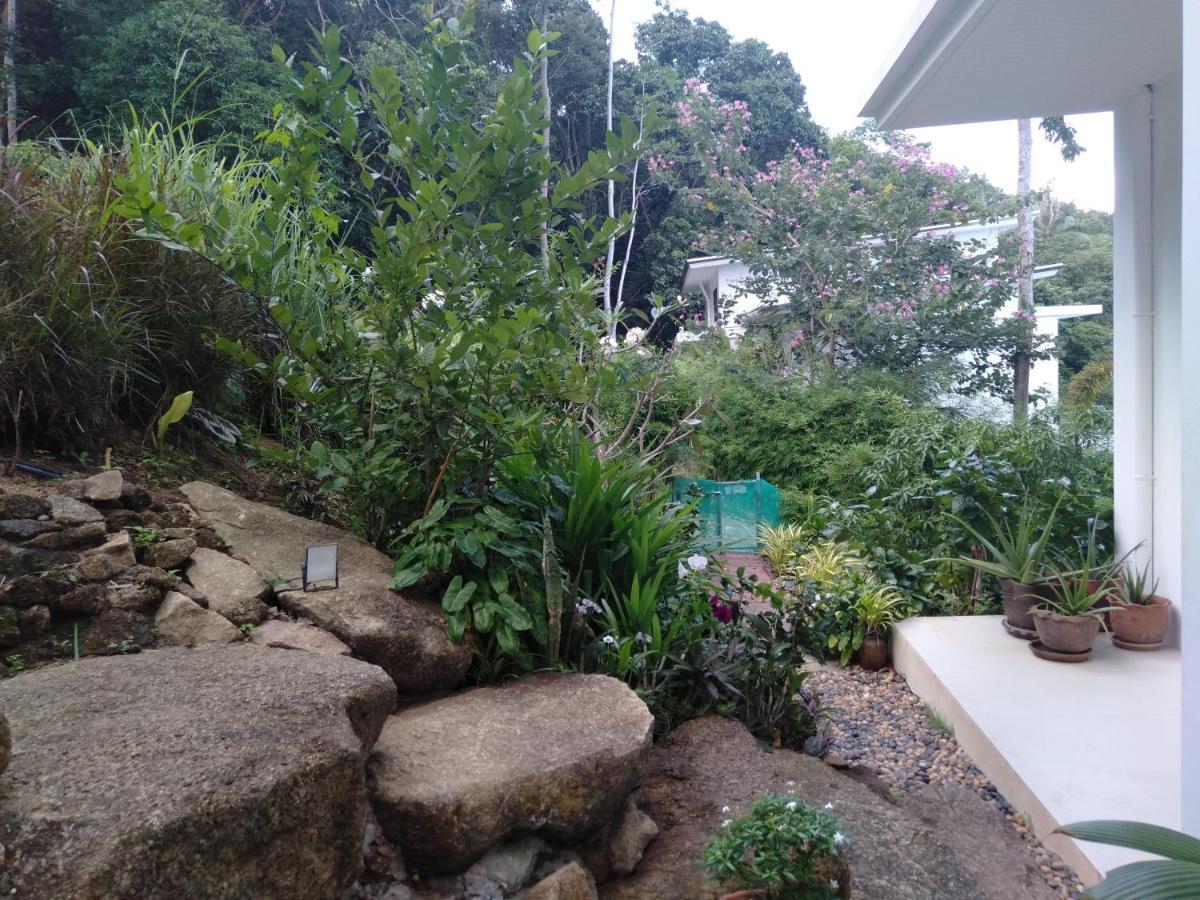 Perfect Sea View Mountain Villa Koh Samui شاطئ تشاوينغ المظهر الخارجي الصورة