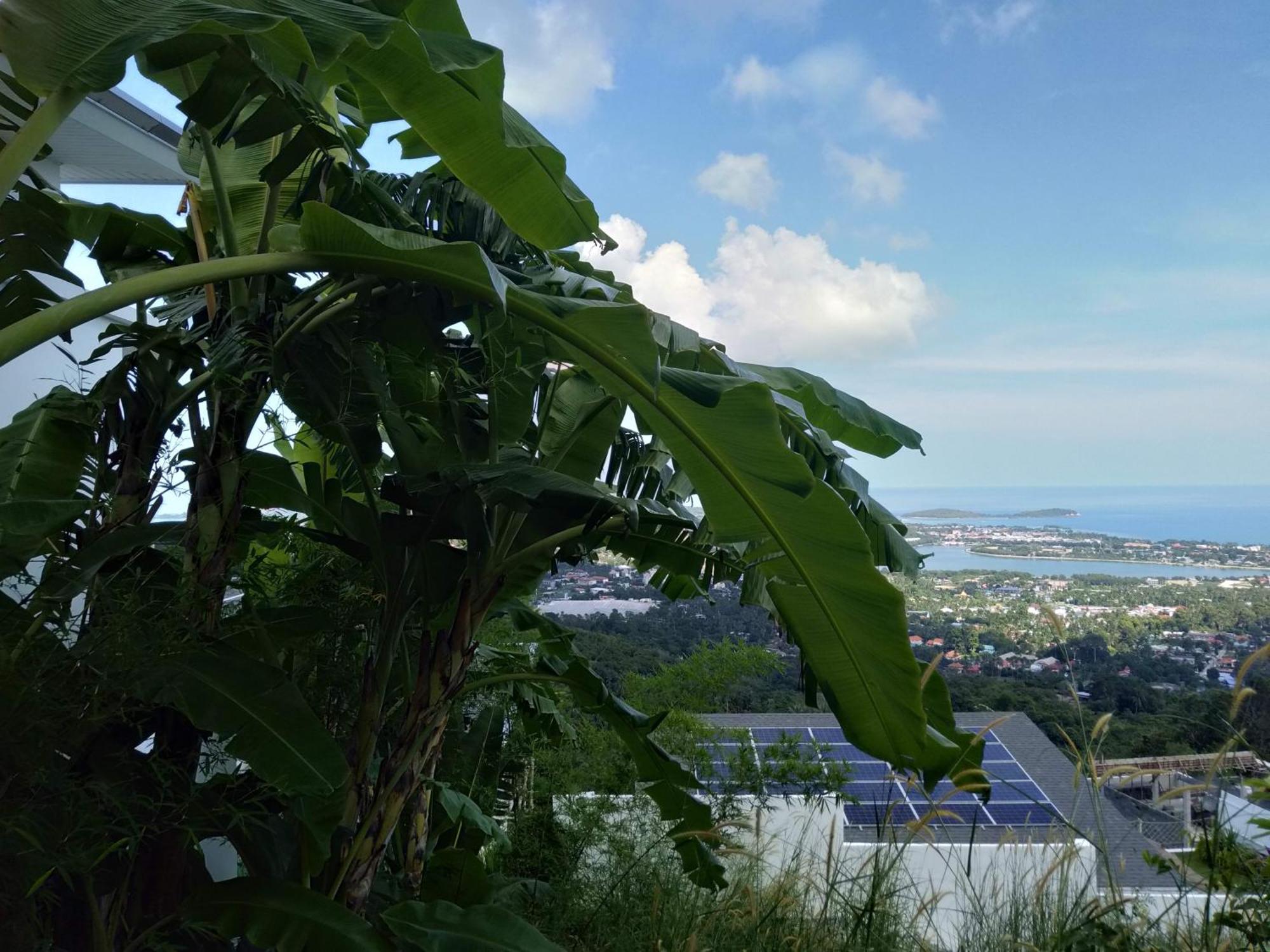 Perfect Sea View Mountain Villa Koh Samui شاطئ تشاوينغ المظهر الخارجي الصورة